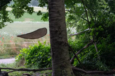 Circular objects made from cotton fabric are stretched between tress in a forest. 