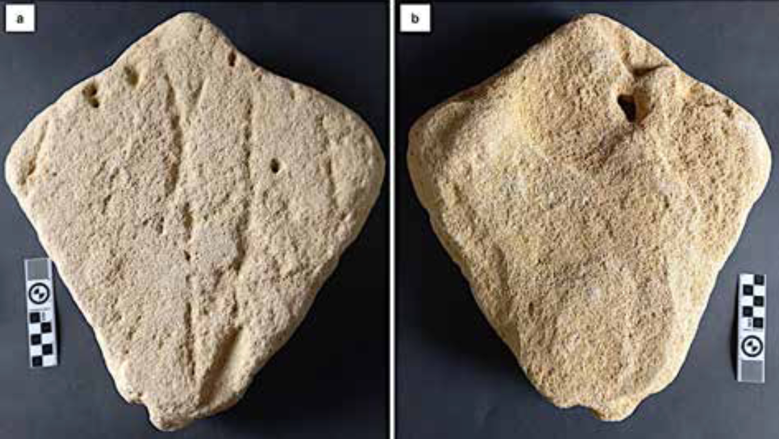 Ancient sand sculpture of a stingray found in Still Bay, South Africa in 2018. The image shows: (a) The upper surface and (b) the lower surface of the purported sand sculpture.