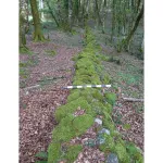 The moss-coated wall used as a defense mechanism by the Romans against Spartacus in the Dossone della Melia forest in Calabria, Italy.